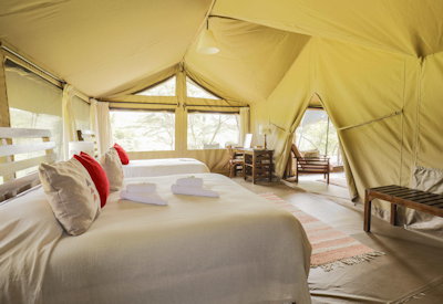 Large and classic tented suites