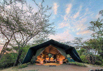 Surrounded by wildlife and birdlife