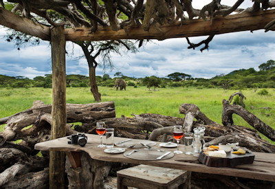 Private dinners surrounded by wildlif