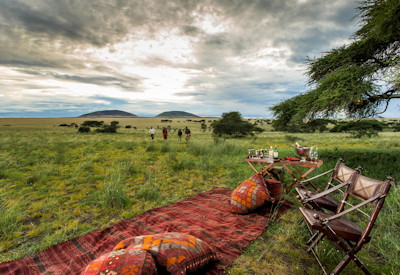 Picnic lunches with out of safari