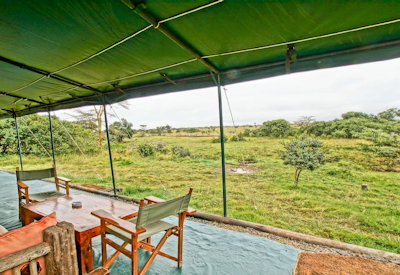 Incredile wildlife views from camp