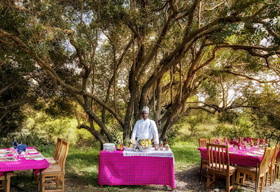 Dining in the Ol Pejeta Conservancy
