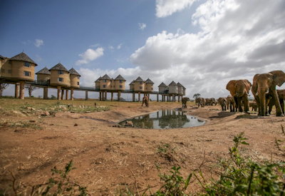 The most unique game lodge in East Africa