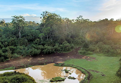 Views out over the mountain forests