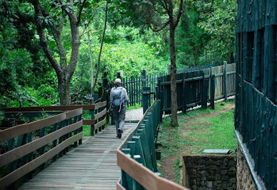 Numerous walking trails around property
