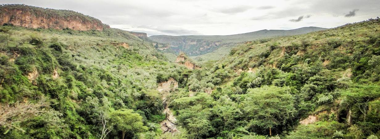 Chelis Tented Safari
