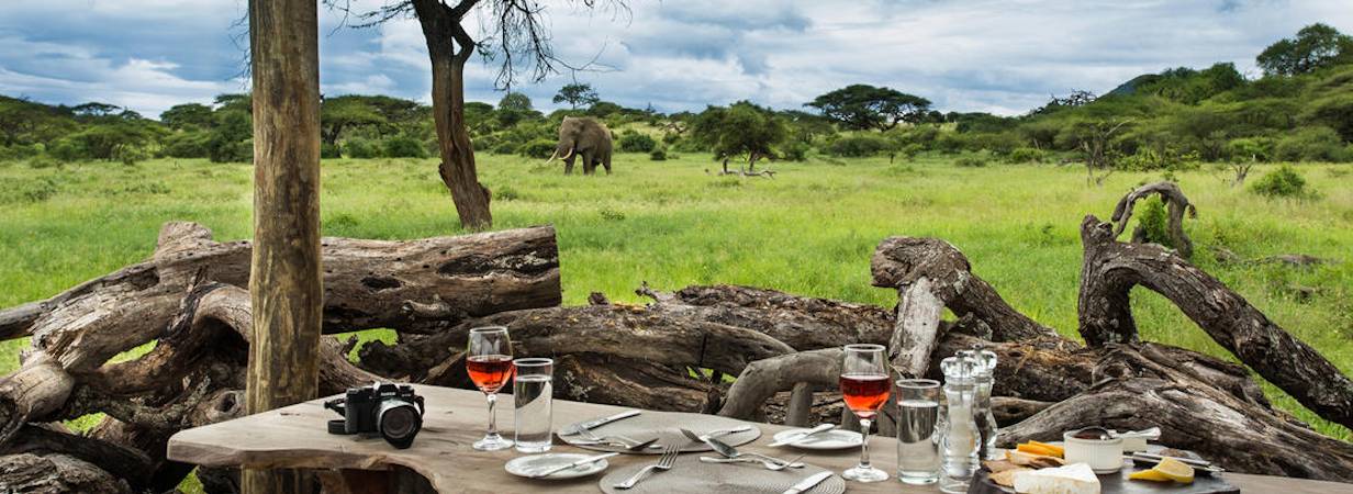 Experience Kenya Safari