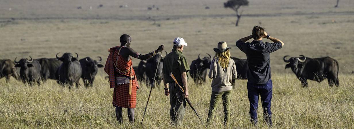 Little Governors Fly Safari