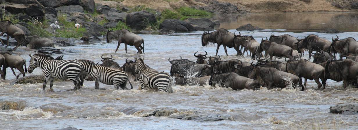 Treasures of Kenya Safari