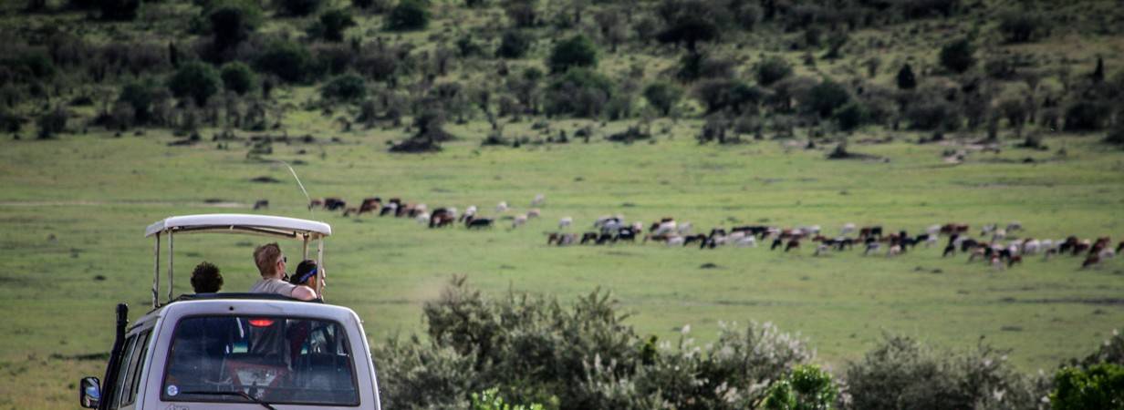 Kenya Wilderness Adventure