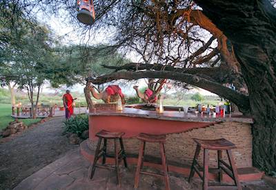 Game drives and camel back safari options