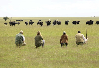 Masai Mara walking safari