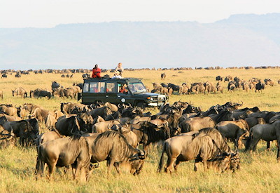 Wildlife viewing through Kenya