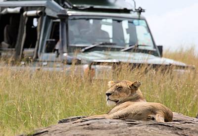 Elewana Kenya Connoisseur Safari 