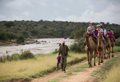 Camel back safaris in the Loisaba Conservancy
