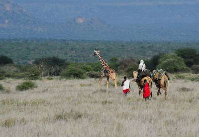 Ewaso Walking Safari