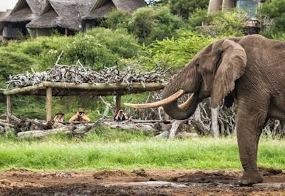 ol Donyo Lodge, a Relais & Châteaux property