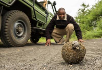 Game drives are also about the small creatures