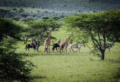 Horseback safaris on the plains of Kenya