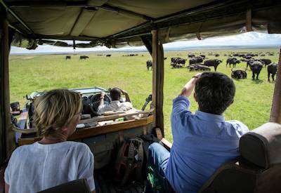 Game drives on the plains of the Masai Mara