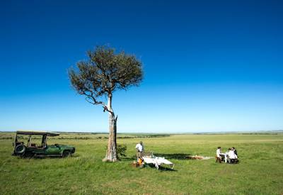 Lion pride Olare Motorogi Conservancy Maasai Mara game drive luxury safari Kenya wildlife