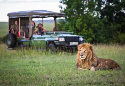 Naboisho Conservancy wildlife game drive 50000 acres Maasai Mara Great Migration Kenya safari
