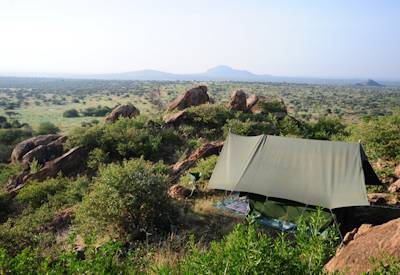 Overlooking a Acacia Tortillis forest that is home to Buffalo and Elephant
