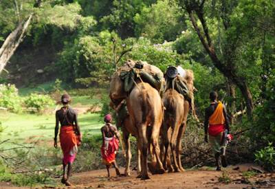 Karisia Hills Walking Safari