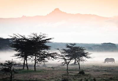 That perfect safari photograph