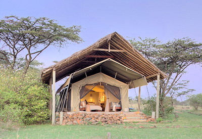 Tented suites offer intimacy and privacy