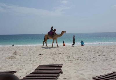 Southern Palm Beach Resort on Diani beach