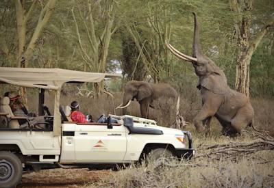Game drives in the Tsavo West National Park