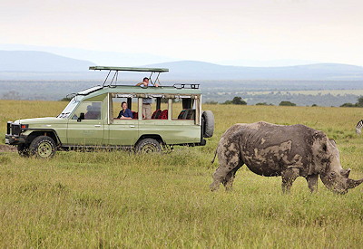 Wildlife and game drives at Ol Pejeta Conservancy