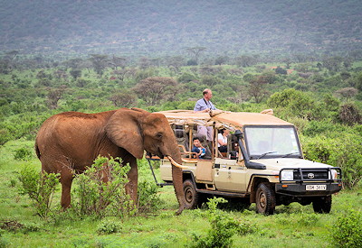 Game drives in the Mara North Conservancy