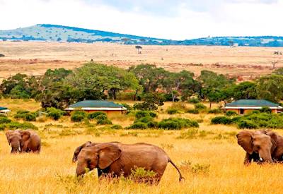Keekorok Lodge in the Masai Mara National Reserve