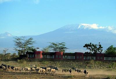 Mount Kilimanjaro from Amboseli Serena Safari Lodge