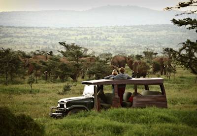 Scenic and private game drives in the Masai Mara