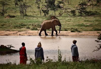 Exclusive Enasoit Camp surrounded by wildlife and natural beauty