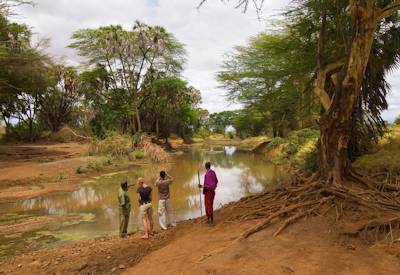 Walking safaris in the Tsavo West National Park