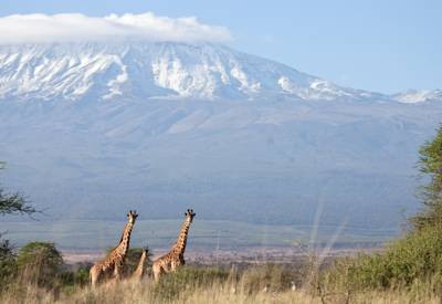 Amboseli National Park and mount Kilimanjaro