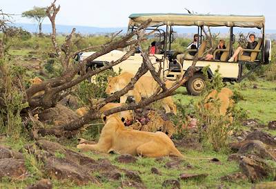 Masai Mara Game Reserve game drives
