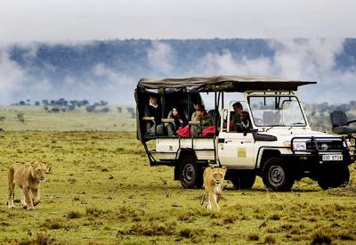 Spectacular game drives on offer