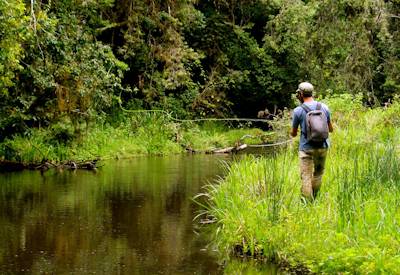Breathtaking view of the Ragati River winding through dense montane forest