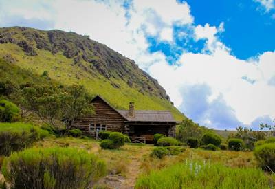 Lake Rutundu, Lake Alice, or in the Kizito River Gorge