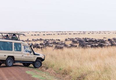 The wildebeest migration of Kenya