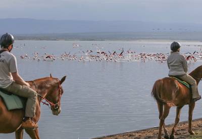 The flamingos of Lake Nakuru in Kenya's famed Rift Valley