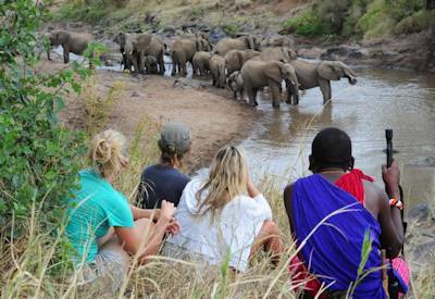Spotting elephants along the Sand River