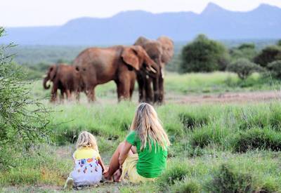 Watch and get close to African wildlife