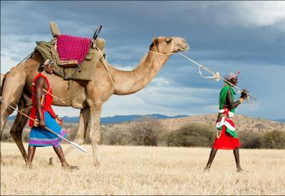 Camel back safaris in Kenya