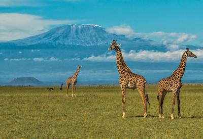 Mount Kilimanjaro from the Chyulu Hills National Park